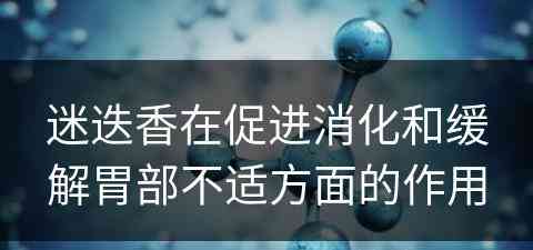 迷迭香在促进消化和缓解胃部不适方面的作用